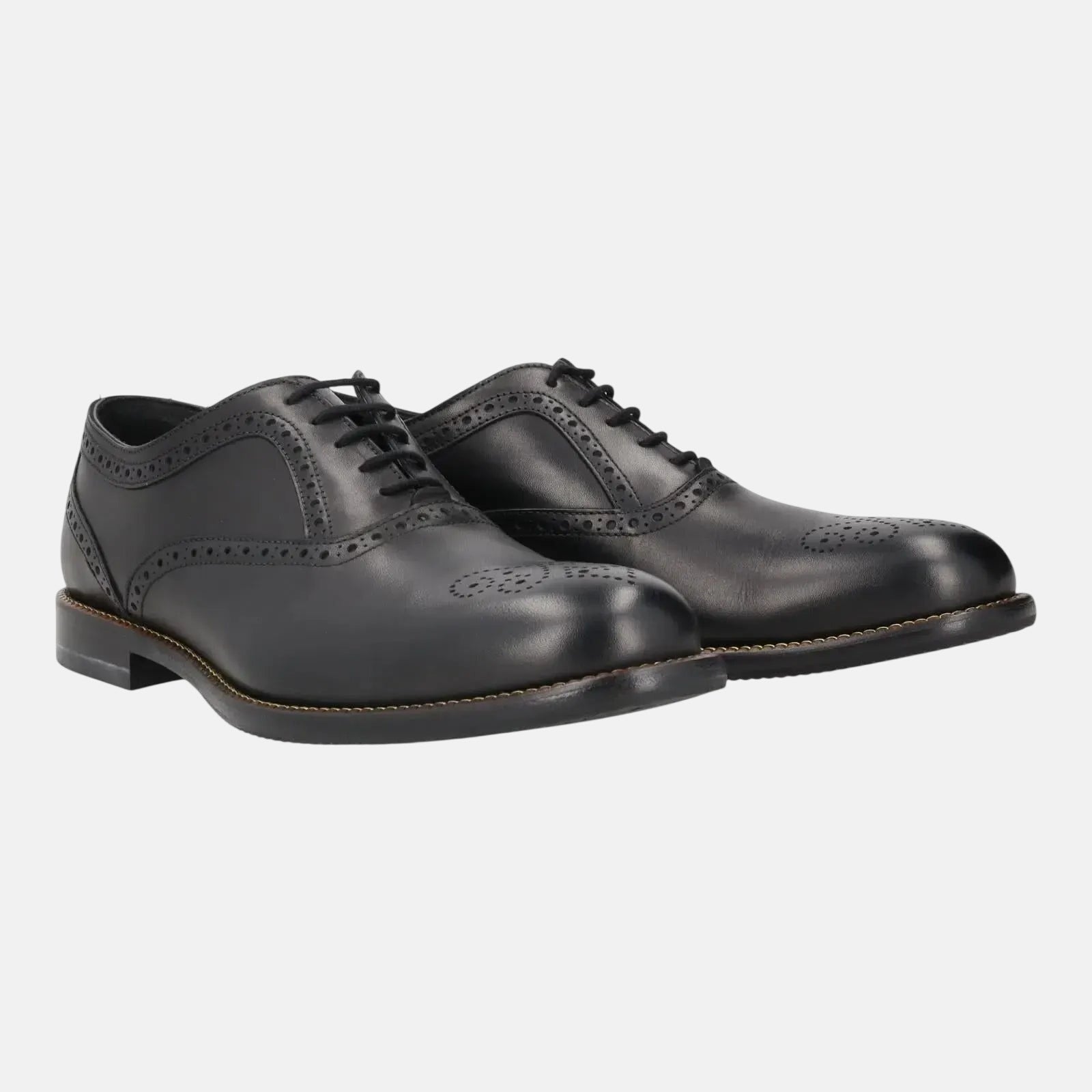 Harrys Of London Trillion Leather Brogue Black | Studio DOS