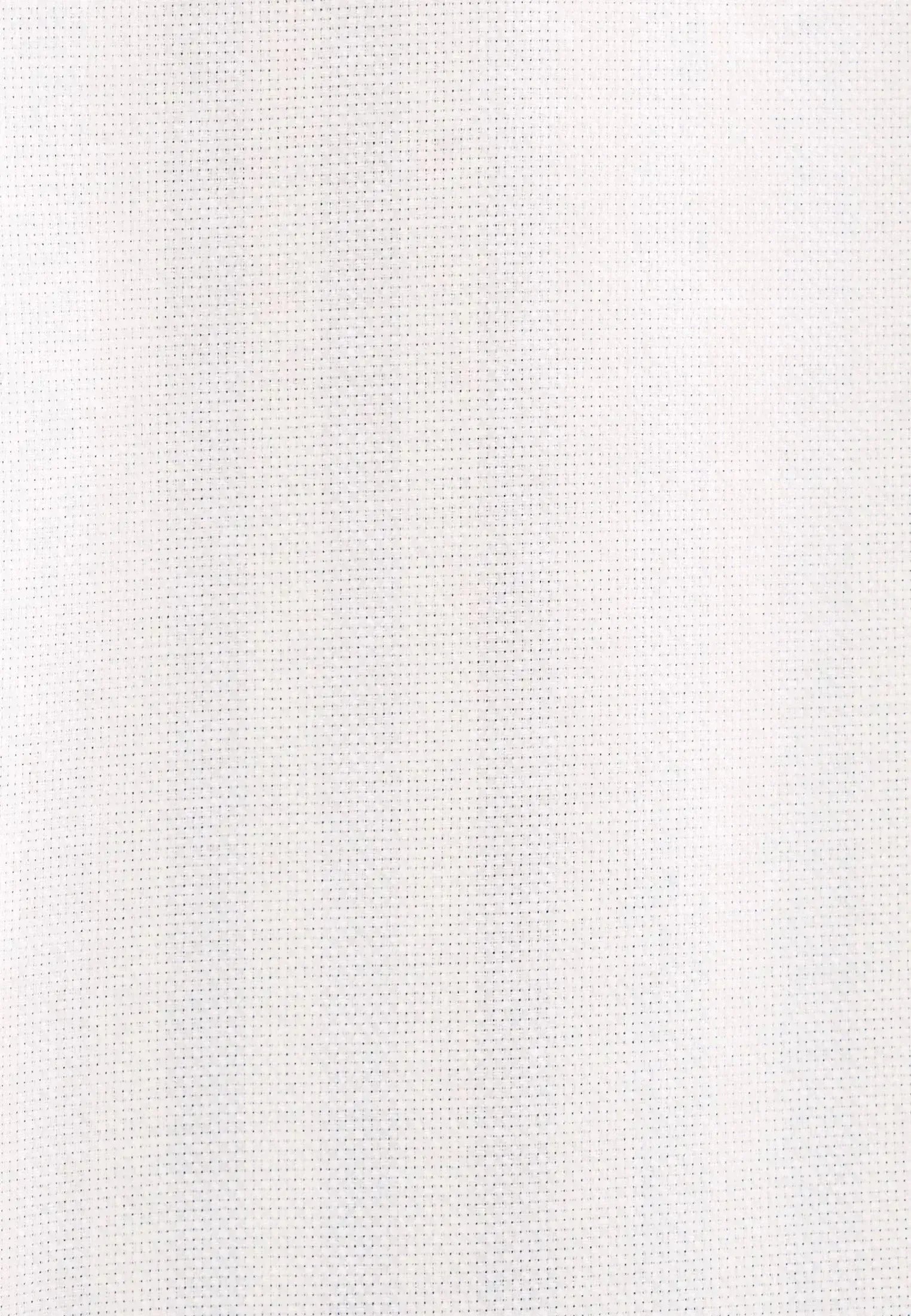 Seidensticker Mens Regular Fit No Iron Spread Kent Structured Stripe Business Shirt Light Blue | Studio DOS