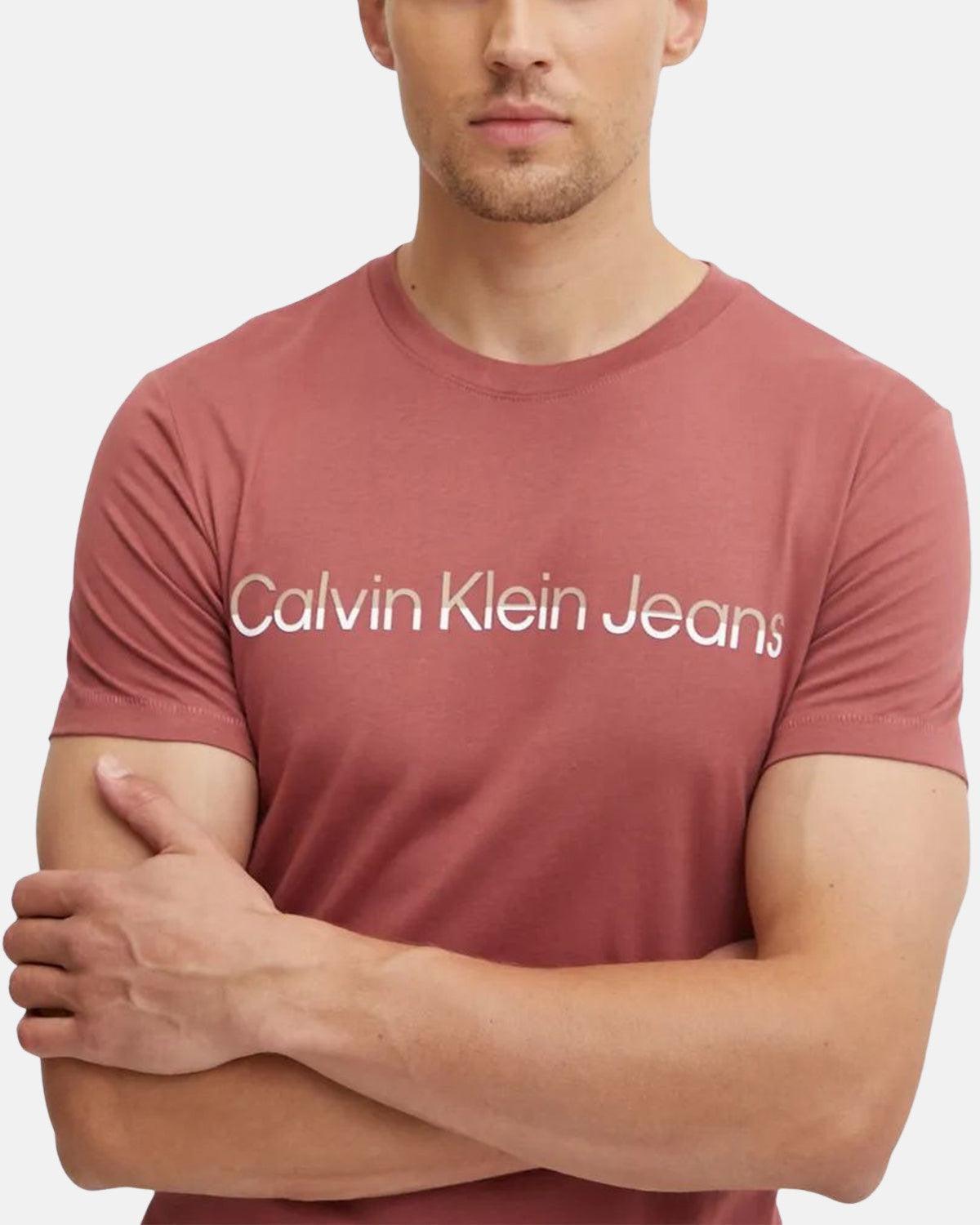 CALVIN KLEIN MIXED INSTITUTIONAL T - SHIRT APPLE BUTTER | Studio DOS