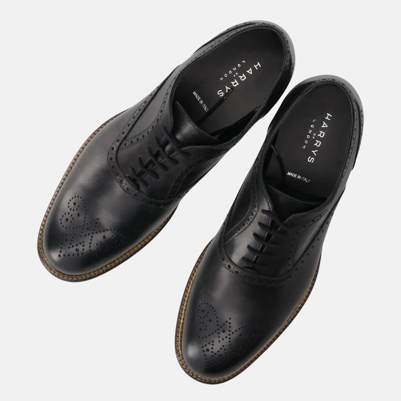 Harrys Of London Trillion Leather Brogue Black | Studio DOS