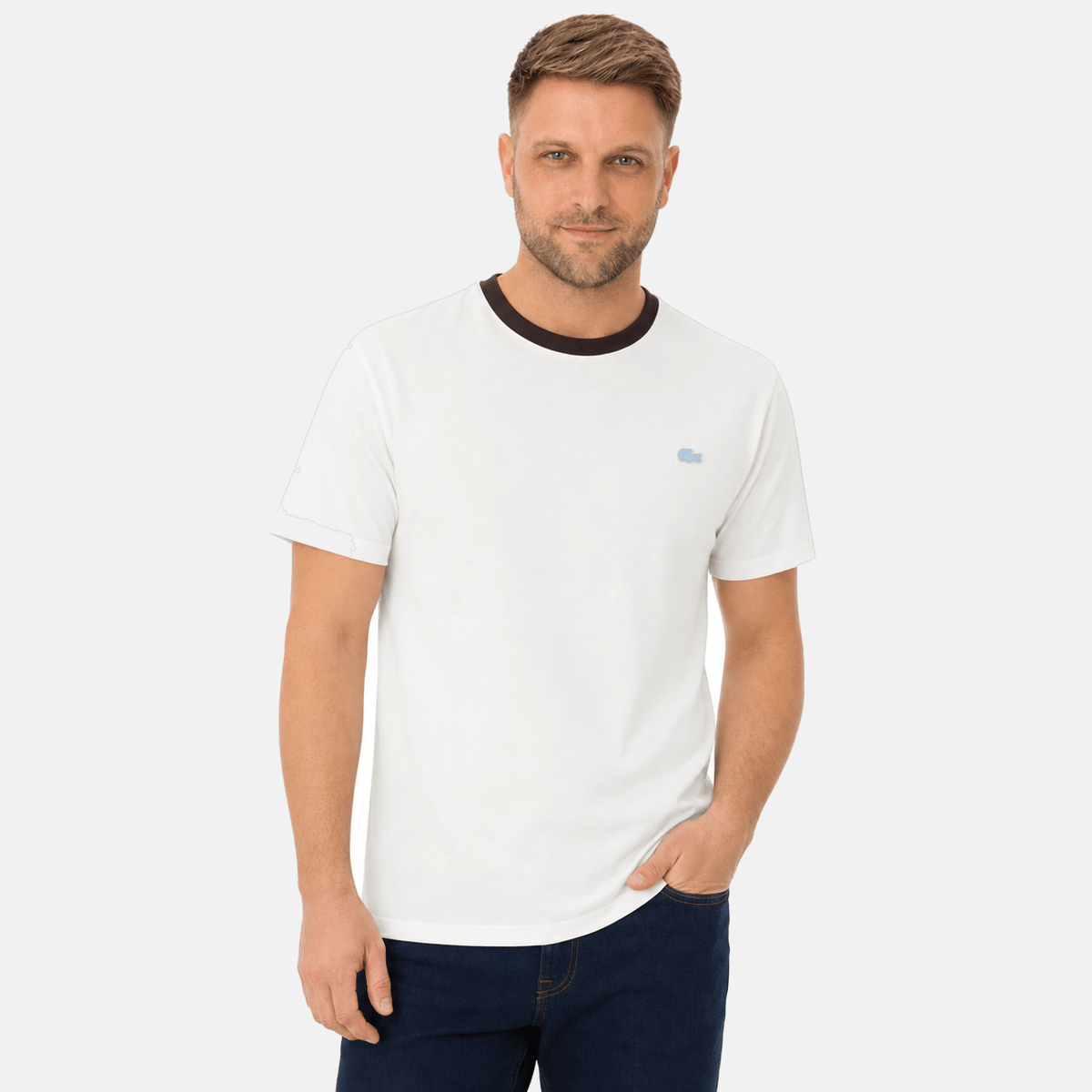 Lacoste Classic Fit Contrast Colour T-Shirt Flour | Studio DOS