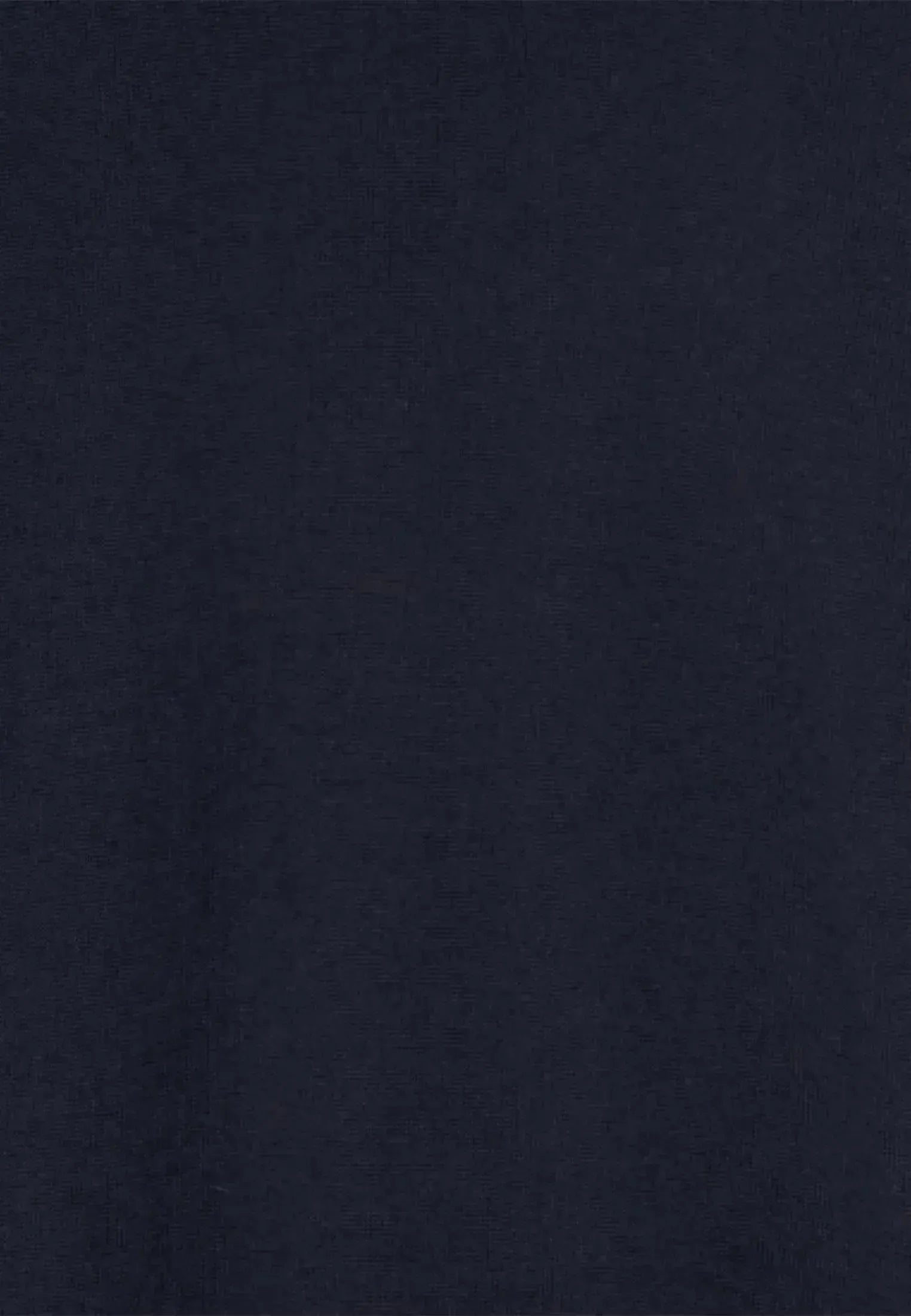 Seidensticker Mens Merino Wool Roll Neck Knit Dark Blue | Studio DOS