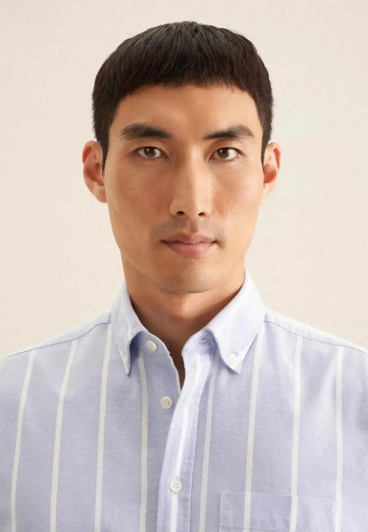 Seidensticker Mens Regular Fit Button Down Striped Oxford Shirt Light Blue | Studio DOS